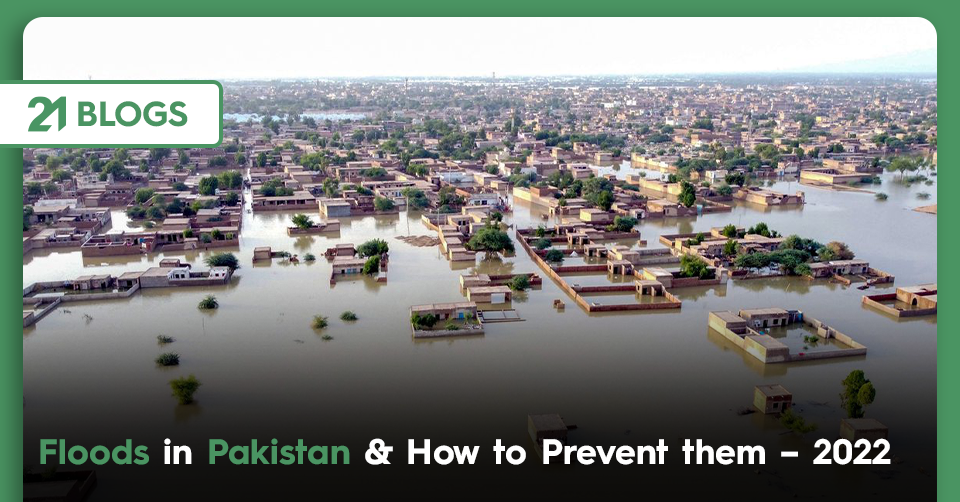 Floods in Pakistan & How to Prevent them– 2022