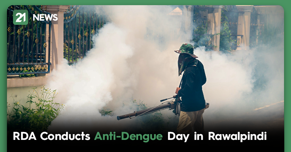 anti-dengue day
