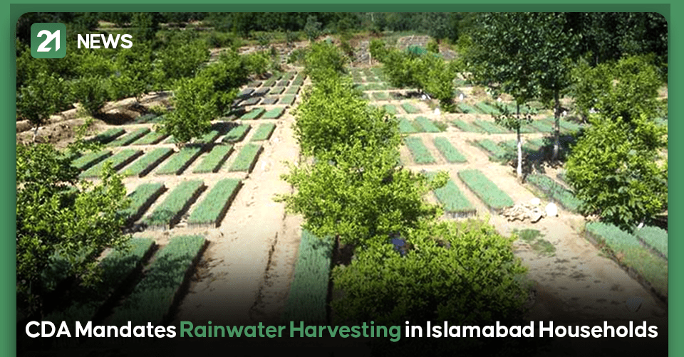 CDA Mandates Rainwater Harvesting in Islamabad Households